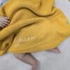 Mustard Baby Blanket
