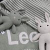 The Sage Bunny