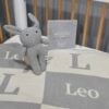 The Grey Bunny