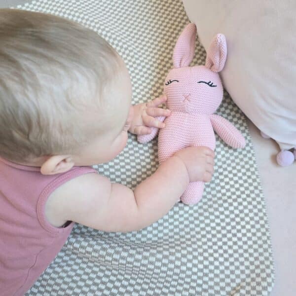 The Pink Bunny