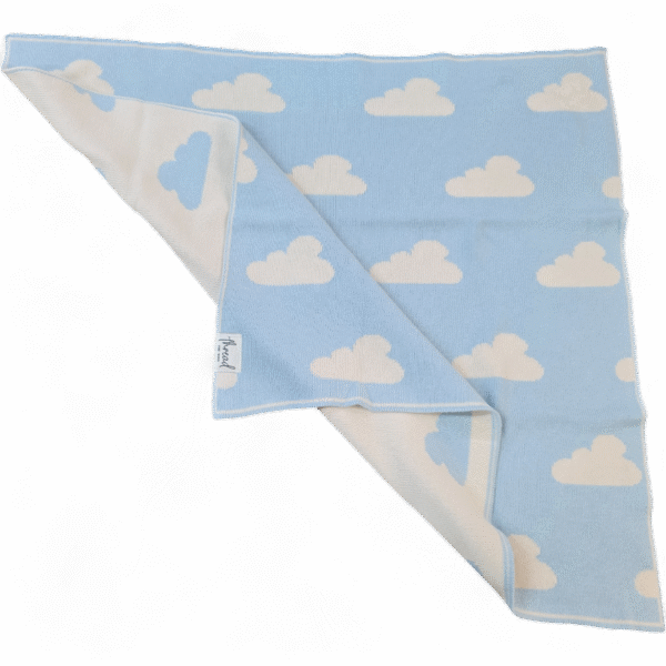 Premmie Blanket - Baby Blue Cloud