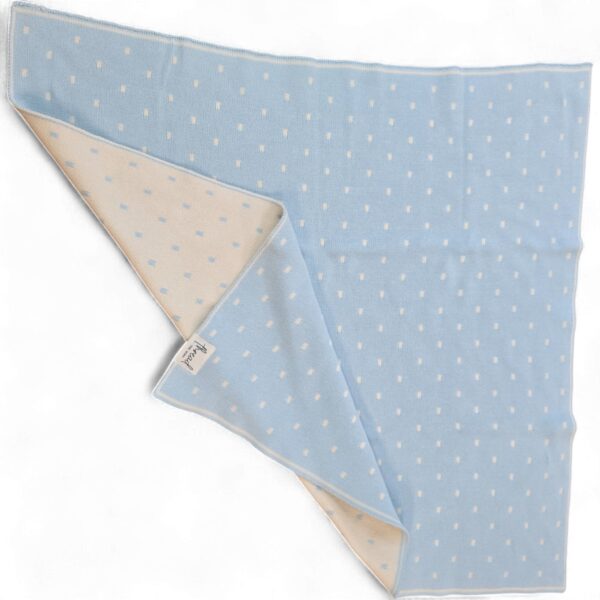 Premmie Blanket - Baby Blue Spots