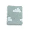 Premmie Blanket – Sage Cloud