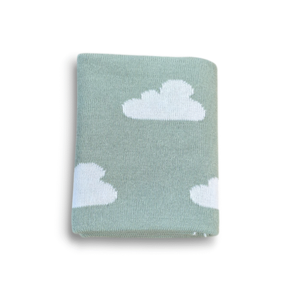 Premmie Blanket - Sage Cloud