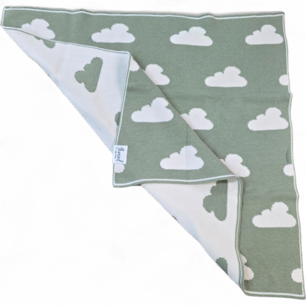 Premmie Blanket - Sage Cloud