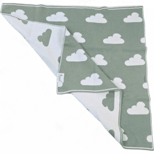 Premmie Blanket - Sage Cloud