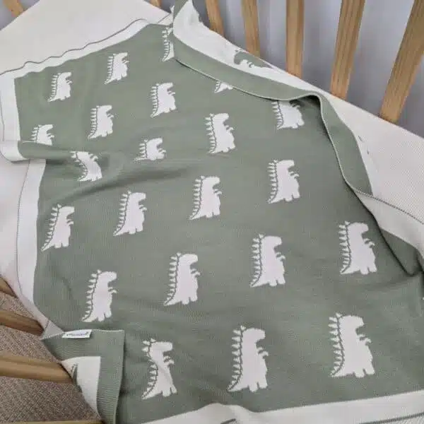 The Dinosaur Blanket The Dinosaur Blanket