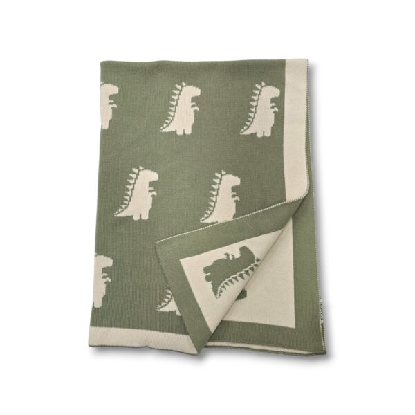 The Dinosaur Blanket